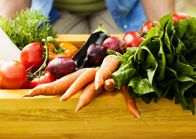 The Real Food Campaign, The Return of Nutrition