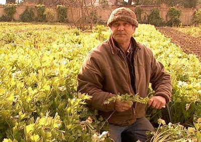 Bob Cannard, Farming with Nature for True Taste