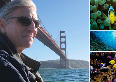 David Helvarg: The Critical Mission of Saving Our Oceans