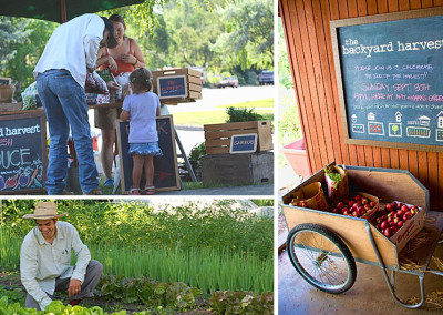 Backyard Harvest: Food Brings a Community Together
