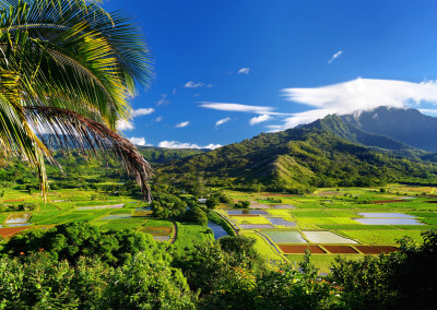 Genetic Engineering in Paradise