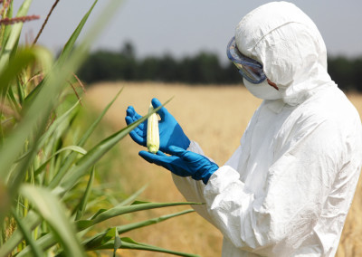 GMOs and Pesticides—What Concerns Scientists