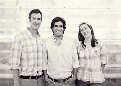 Gotham Greens: Sustainable Farming in the Big Apple
