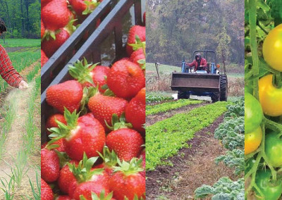 Dan Kittredge: Farming for Nutrient Quality