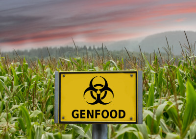 Battle against GMOs: Update