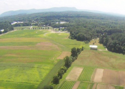 Northampton’s Organic Community Gardens