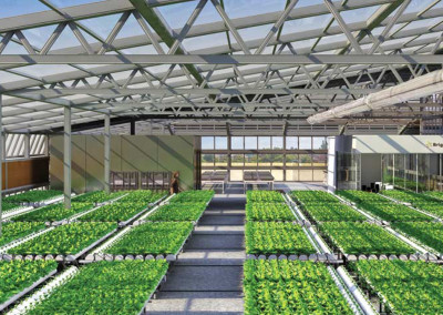 Paul Lightfoot: The Localization of Produce
