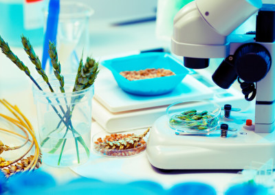 The NV Living Guide to Understanding GMOs