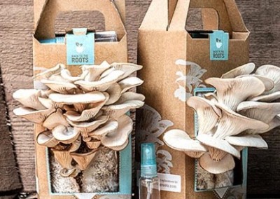 Back to the Roots: Mushrooming into Sustainable Success