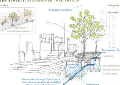 Cities Use Design to Tackle Stormwater Runoff