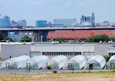 Big City Farms: Sustainable Farming Right in the City