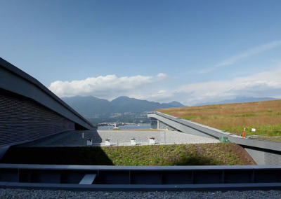 Six Acres of Living Roof