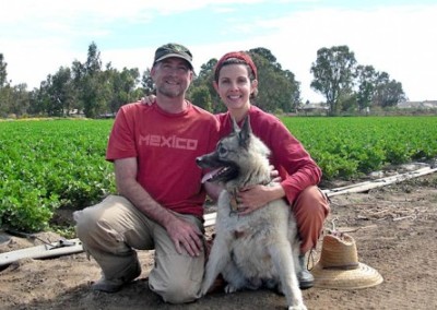 The Perfect Timing of Suzie’s Farm