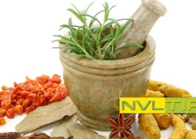 3 Ayurvedic Rejuvenators