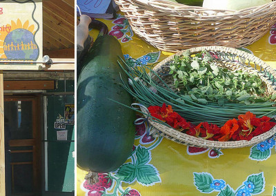 UrbiCulture Community Farms: Mile-High Life-Changing Urban Farming