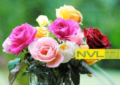 Make Sure Your Cut Flowers Are Green