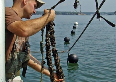Can Our Oceans Save Humankind?