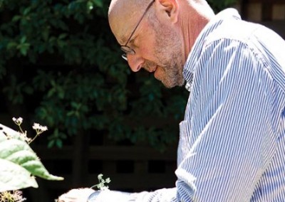 Michael Pollan: The Missing Part of the Food Chain