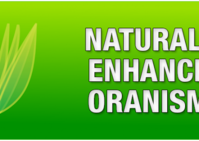 GMO Foods become “NEO” Foods