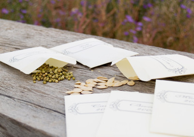 Garden Seed Shopping Made Easy