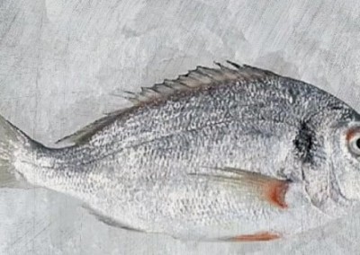 Chef Dan Barber: How I Fell in Love with a Fish