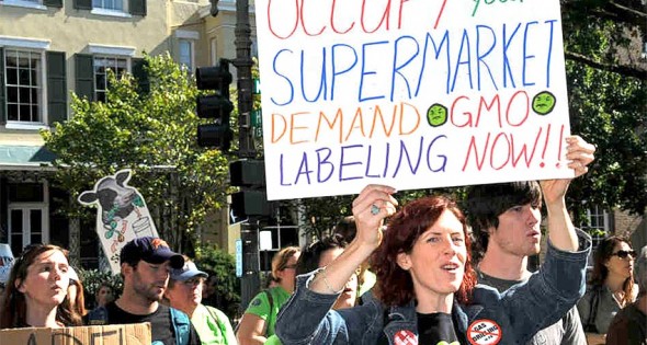 gmo665