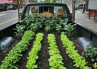 The Truck Farm