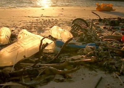 Midway Atoll’s Plastic Beach