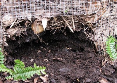 Composting in New York City