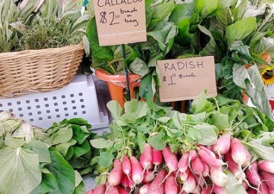 Backyard Farming for Food Justice
