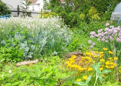 Paradise Lot: How Two Plant Geeks Grew a Permaculture Oasis
