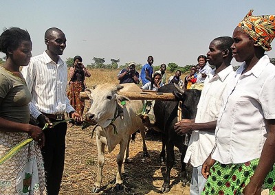 Heifer International: Building Naturally Sustainable Communities