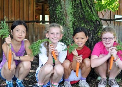 Life Lessons from Sprout Creek Farm