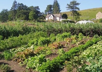 Why Rock Dust Is the Future of Gardening