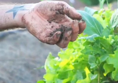 Punkle’s Farm: 100 Percent Nasty Free