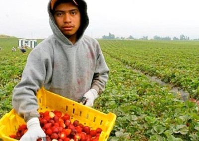 Help Protect Farmworkers from Pesticides