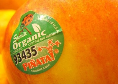 GMOs in Organics? Seriously?