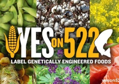 I-522: Take Two on Grassroots GMO Labeling