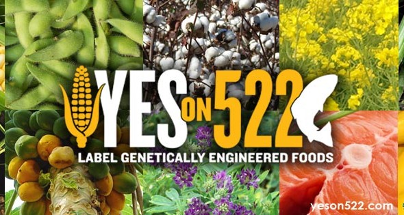 yes522