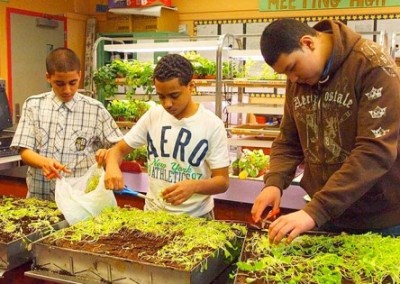 Green Bronx Machine: Green Miracle in the South Bronx