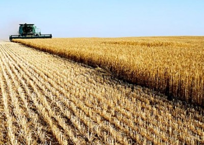 Food Mythbusters: Global Warming and Industrial Agriculture