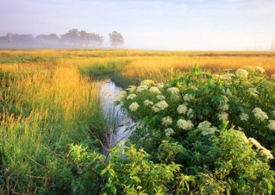 Lawsuit Filed to Stop GMO Crops and Pesticide Use in Wildlife Refuges