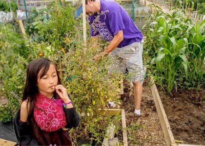A Year in the Garden