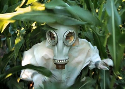 GMO OMG! The Story Behind the Movie