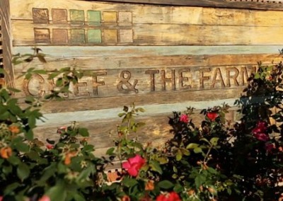 Chef and the Farmer: From Tobacco to Farm-to-Table