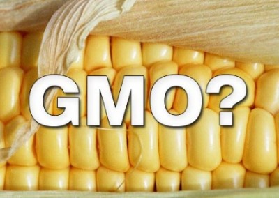 GMO Labeling: Biotech Chemical Companies Pouring Money into the Fight