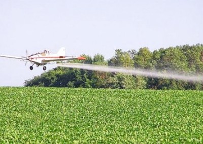 New GE Soybeans Are Projected to Increase the Use of Carcinogenic Herbicides