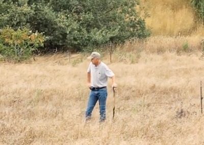 The Living Soil: Our Climate Ally