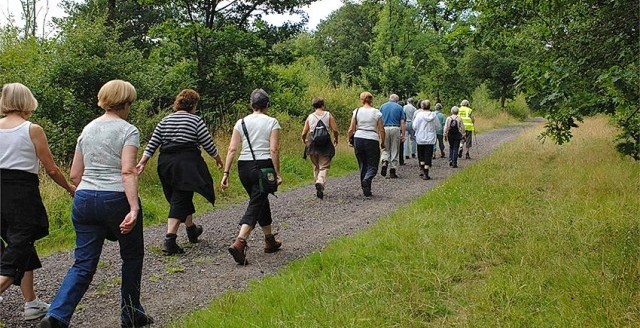 walking-e1400599720603