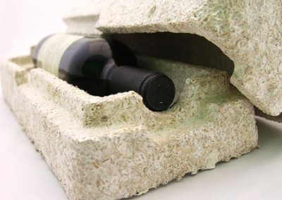 Growing a Natural Replacement for Styrofoam
